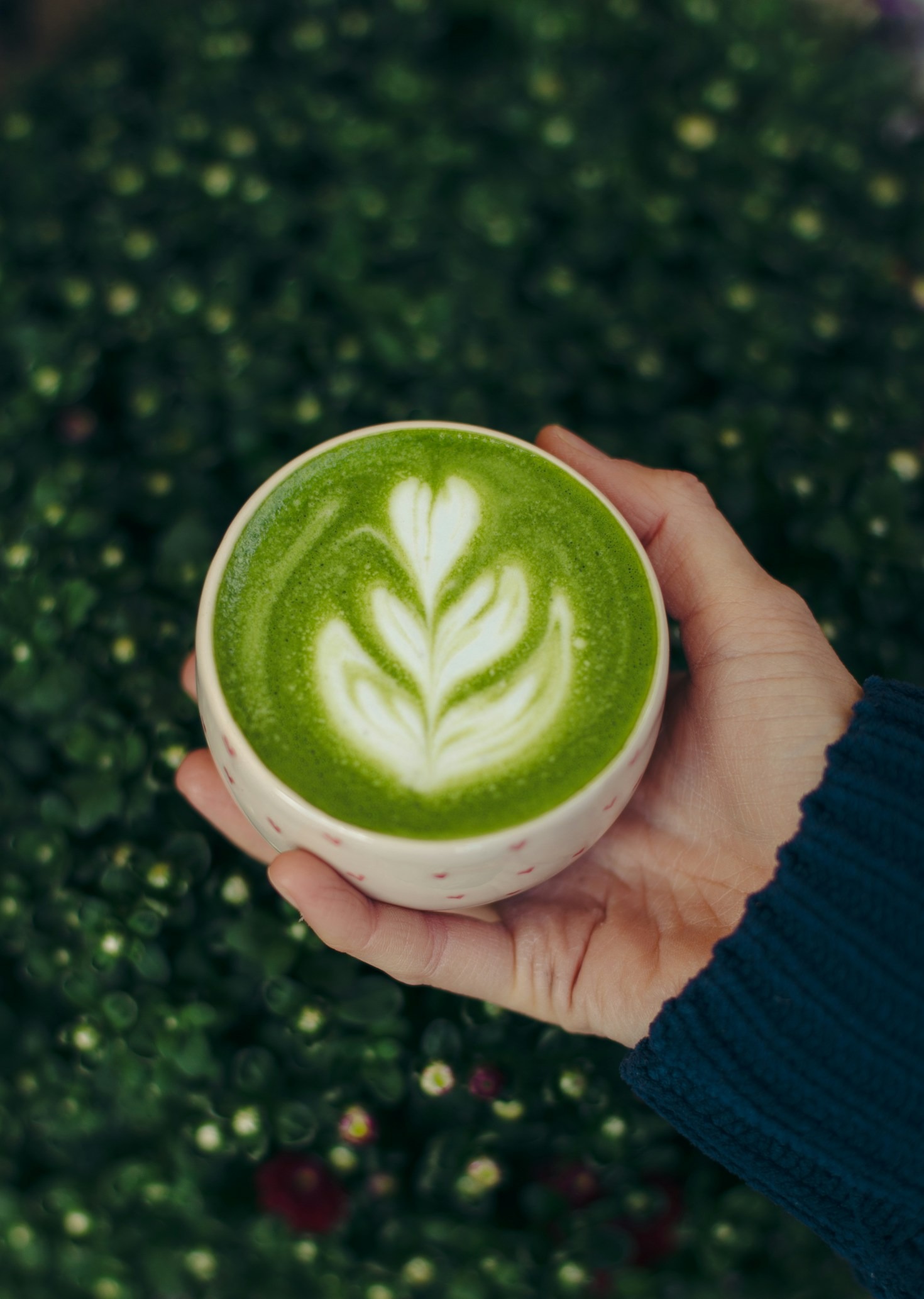 Cinq astuces pour un matcha sans grumeaux