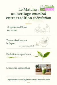 Le Matcha est-il vraiment japonais ? L’histoire fascinante de cette poudre verte venue d’Asie